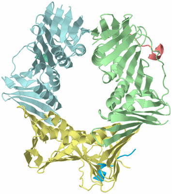 Image Biological Unit 2