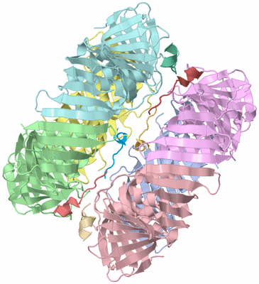 Image Biological Unit 3