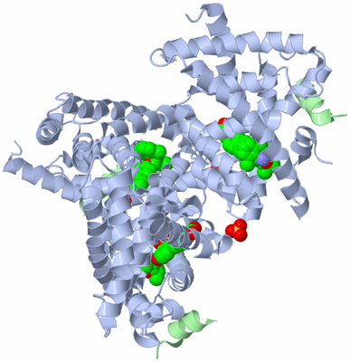 Image Biological Unit 3