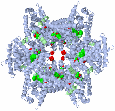 Image Biological Unit 3