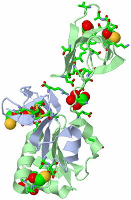 Image Biol. Unit 1 - sites