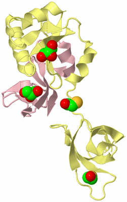 Image Biological Unit 2