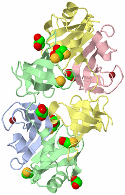 Image Biological Unit 3