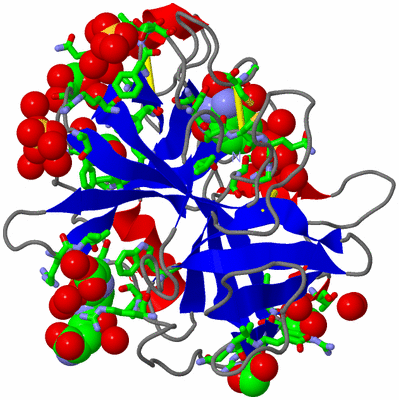 Image Asym./Biol. Unit - sites