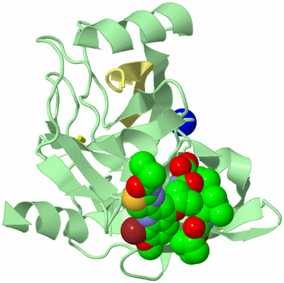 Image Biological Unit 2