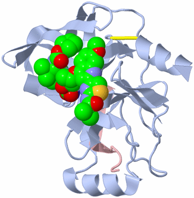 Image Biological Unit 1