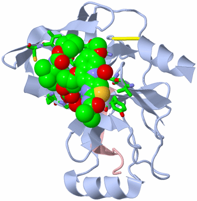 Image Biol. Unit 1 - sites