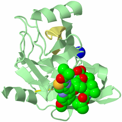 Image Biological Unit 2