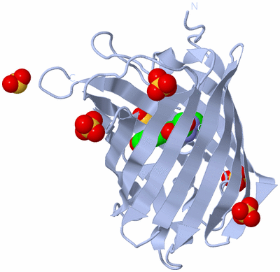 Image Biological Unit 1