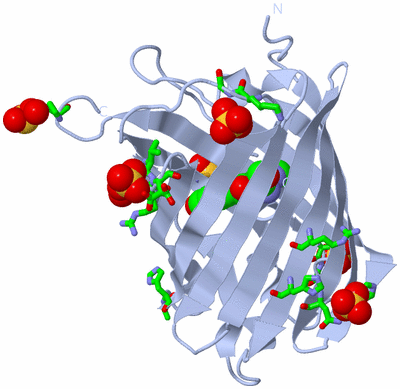 Image Biol. Unit 1 - sites