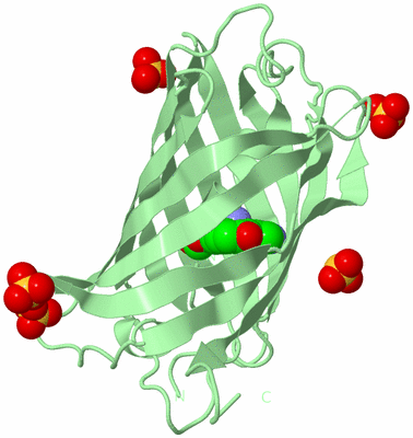 Image Biological Unit 2