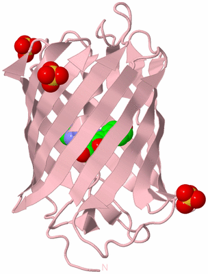 Image Biological Unit 3