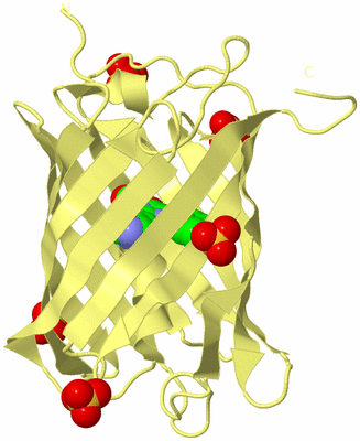 Image Biological Unit 4