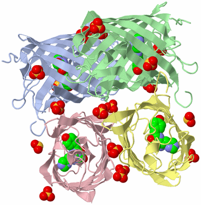 Image Biological Unit 5