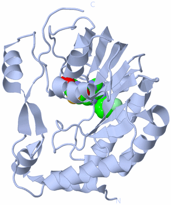 Image Biological Unit 1