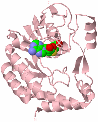 Image Biological Unit 2