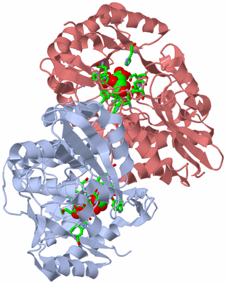 Image Biol. Unit 1 - sites