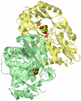 Image Biological Unit 2