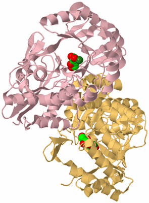 Image Biological Unit 3