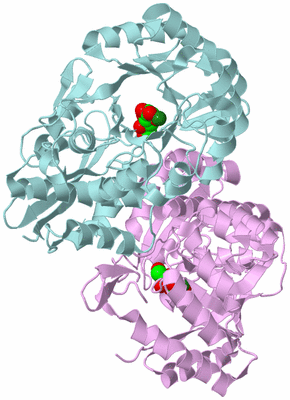 Image Biological Unit 4