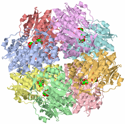 Image Biological Unit 5