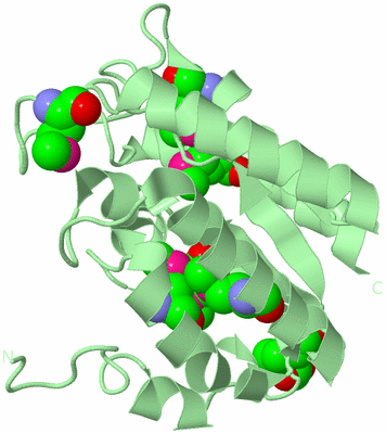 Image Biological Unit 2