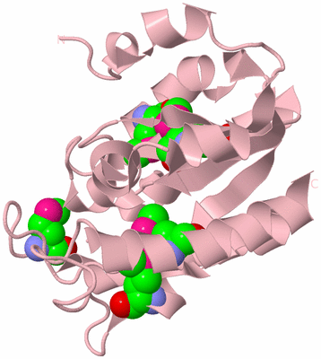 Image Biological Unit 3