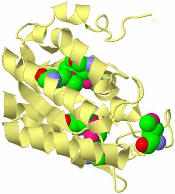 Image Biological Unit 4