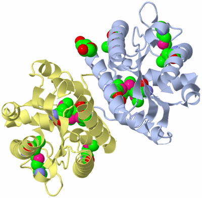 Image Biological Unit 6