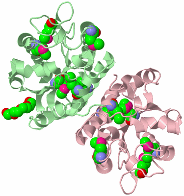 Image Biological Unit 7