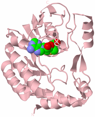 Image Biological Unit 2