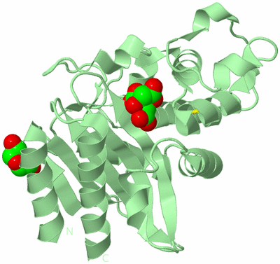 Image Biological Unit 2