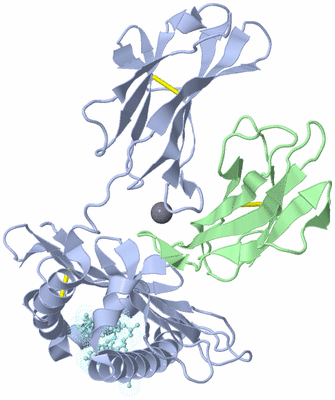 Image Biological Unit 1