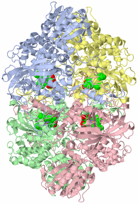 Image Asym./Biol. Unit