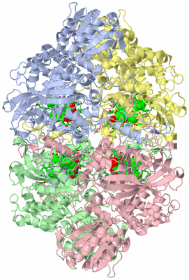 Image Asym./Biol. Unit - sites