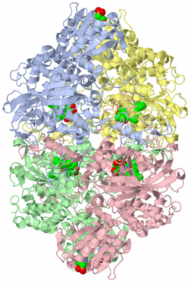 Image Asym./Biol. Unit