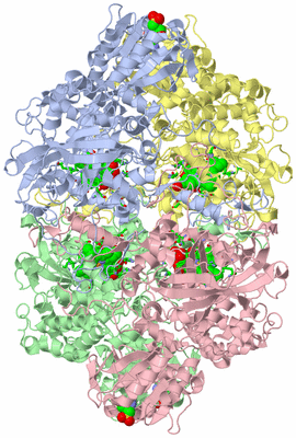 Image Asym./Biol. Unit - sites