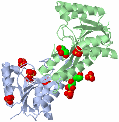 Image Asym./Biol. Unit