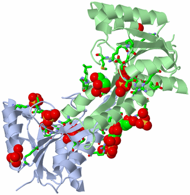 Image Asym./Biol. Unit - sites