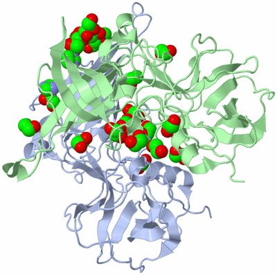 Image Biological Unit 1