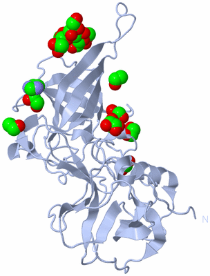 Image Biological Unit 2