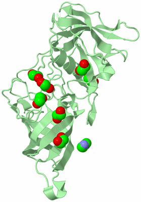 Image Biological Unit 3