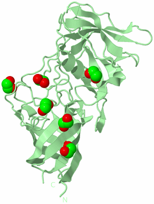 Image Biological Unit 3