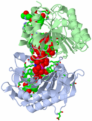 Image Asym./Biol. Unit - sites