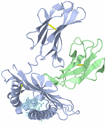 Image Biological Unit 1