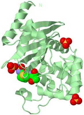 Image Biological Unit 2