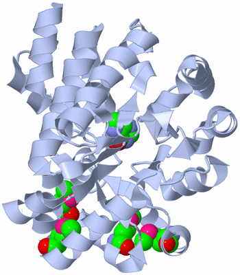 Image Biological Unit 1