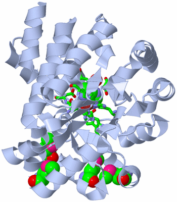 Image Biol. Unit 1 - sites