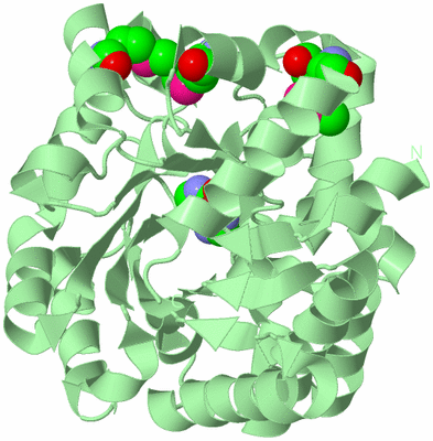 Image Biological Unit 2