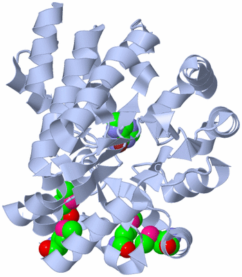 Image Biological Unit 1